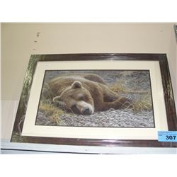 Framed print by Robert Bateman