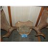 Image 1 : Small moose antlers mounted set