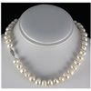 Image 1 : 258.58ctw Freshwater Pearl Necklace w/ 14KWG Clasp