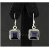 Image 1 : Sterling Silver 30.50ctw CorrundumSapphireEarring