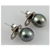 Image 3 : 9.0MM Round Stud Earring South Sea Pearl