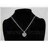 Image 1 : Vintage Necklace (maybe Silver)