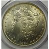 Image 2 : 1884-O MORGAN DOLLAR MS 64+ PCGS