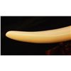 Image 3 : CHINESE IVORY TUSK ON WOODEN STAND