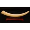 Image 5 : CHINESE IVORY TUSK ON WOODEN STAND