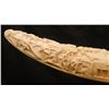Image 4 : CHINESE RELIEF CARVED IVORY VILLAGE SCENE TUSK