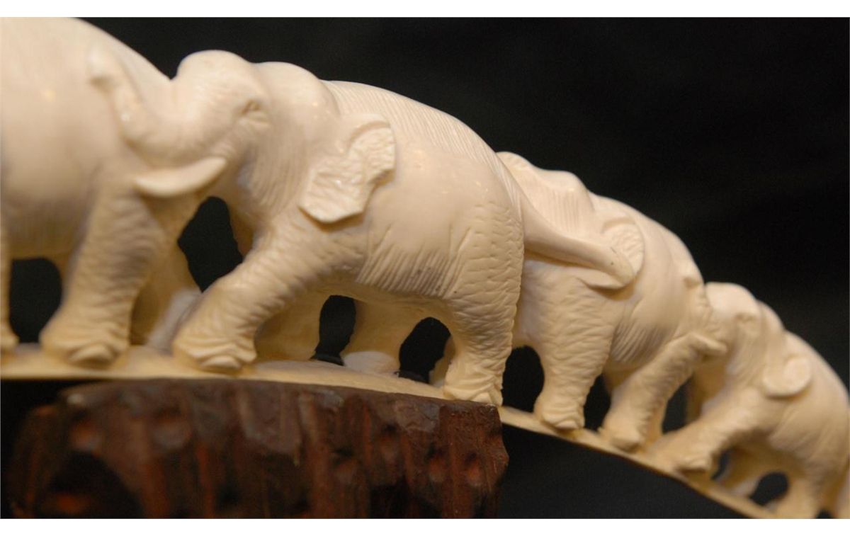 CHINESE CARVED IVORY ELEPHANT BRIDGE TUSK