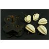 Image 7 : CARVED IVORY GOURD SNUFF & STAR FRUIT GROUP