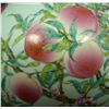 Image 2 : CHINESE PORCELAIN YONGZHENG MARK PEACH VASE