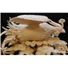 Image 2 : LARGE CHINESE IVORY CARVED PHOENIX GROUP