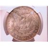 Image 2 : 1904-O Morgan Dollar MS63 NGC