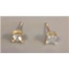 Image 1 : .25 CARAT DIAMOND PRINCESS CUT EARRINGS