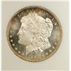 Image 2 : 1885 Morgan Silver Dollar NGC MS65 DPL