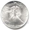 Uncirculated Silver Eagle 1986