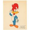 Image 1 : Walter Lantz