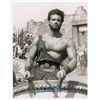 Image 1 : Steve Reeves