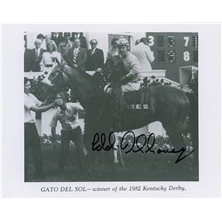 Horse Racing: Eddie Delahoussaye