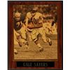 Image 1 : Gale Sayers