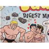 Image 3 : Archie Digests