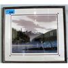 Image 1 : Framed bald eagle double matted print