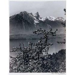 Albert Steiner (1877-1965)