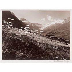 Albert Steiner (1877-1965)