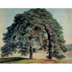 Friedrich Salathé (1793-1858)