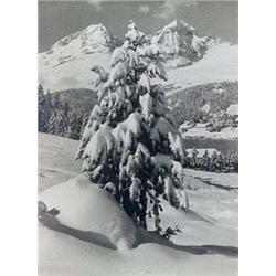 Albert Steiner (1877-1965)