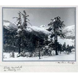 Albert Steiner (1877-1965)