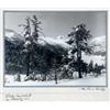 Image 1 : Albert Steiner (1877-1965)