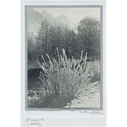 Albert Steiner (1877-1965)