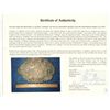 Image 2 : Large "tumbaga" silver "torta" (oval patty) #M-158, 23 lb av, marked with assayer/owner B~Vo, R C an