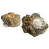 Image 1 : Heavy clump of 3 or more small silver cobs, including a clear Lima 4R 1717M on top, with hundreds of