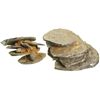 Image 1 : Small but attractive clump of 5 silver cobs (Lima and Potosi, one 4R, two 2R and three 1R) with smal