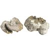 Image 1 : Small but attractive clump of 3 silver cobs (probably all Potosi, two 4R and one 2R) with small pebb