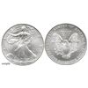 Image 1 : Lot of 19 USA (Philadelphia mint) $1 Liberty (American Eagle bullion coins), 2007 (each 0.9993 oz AS