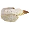 Image 1 : Fossilized dinosaur tooth (mosasaur) with root in matrix (repaired), from Khouribgha, Morocco, appro