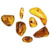 Image 1 : Lot of 7 pieces of amber with small insects inside, found in the Dominican Republic (approx. 20 to 3