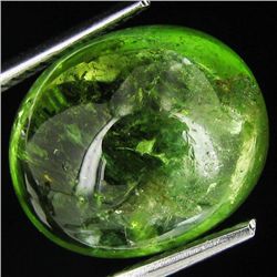 9.82ct Cabochon Green Cuprian Tourmaline (GEM-29798)