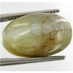 15.10ct Precious Crysoberyl Cat's Eye (GEM-21936)