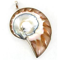 135twc Filled Nautilus Sterling Pendant (JEW-3438)