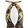 Image 1 : Scarce Scrimshaw Water Buffalo Horn Pair (CLB-590)