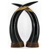 Image 2 : Scarce Scrimshaw Water Buffalo Horn Pair (CLB-590)