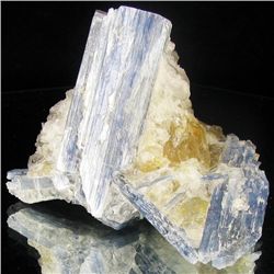 540ct Kyanite Crystal Cluster (MIN-002202)