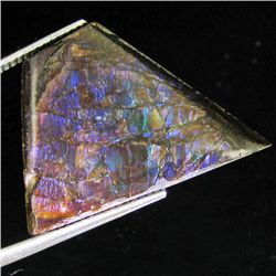 12.85ct Scarce Glowing Multi-color Ammolite Triplet (GEM-31991)