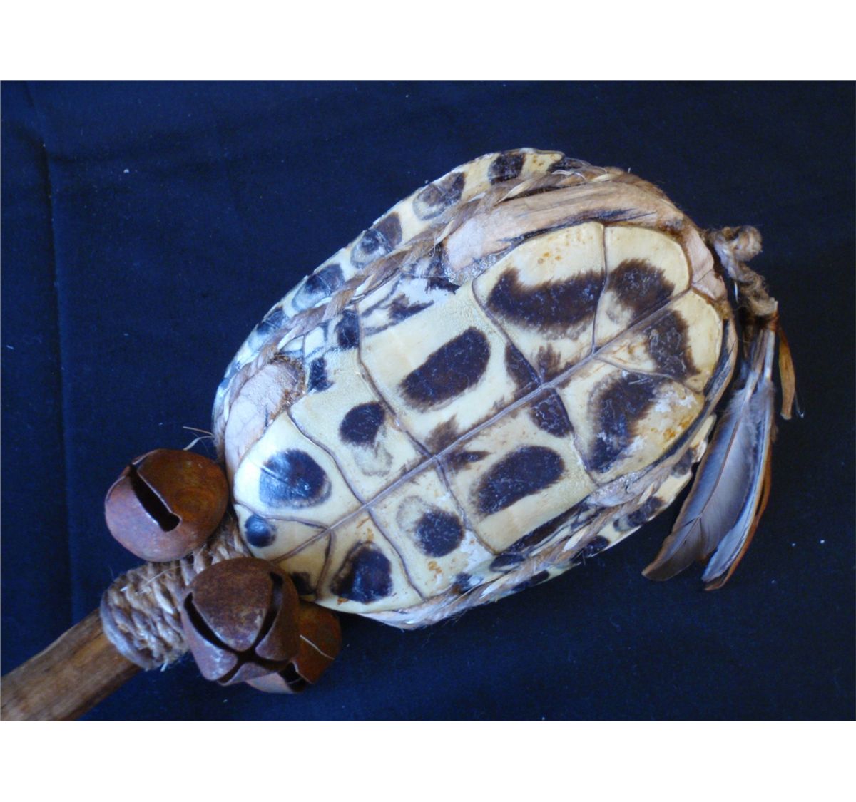 Native American Turtle Rattle