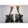 Image 1 : PAIR ANTIQUE RHINOCEROS HORNS