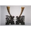 Image 2 : PAIR ANTIQUE RHINOCEROS HORNS