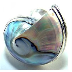 Silver and Nautilus Shell Ring