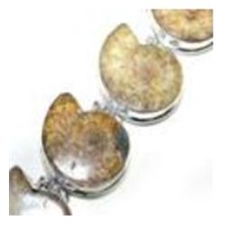 Ammonite Bracelet